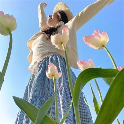 双姝怨